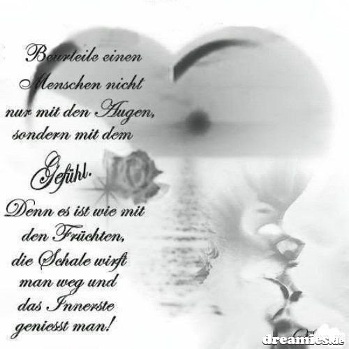 ext. Bild