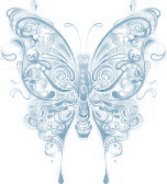 ext. Bild