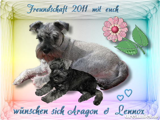 An den Beitrag angehängtes Bild: http://img9.dreamies.de/img/466/b/uobt9mnz27e.png