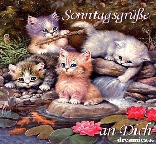 ext. Bild