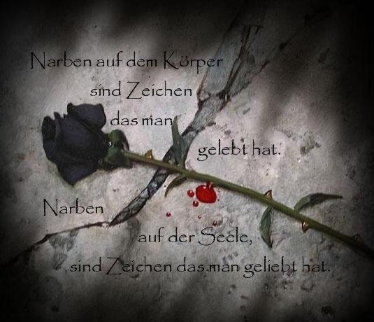 ext. Bild