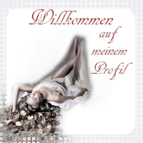 ext. Bild
